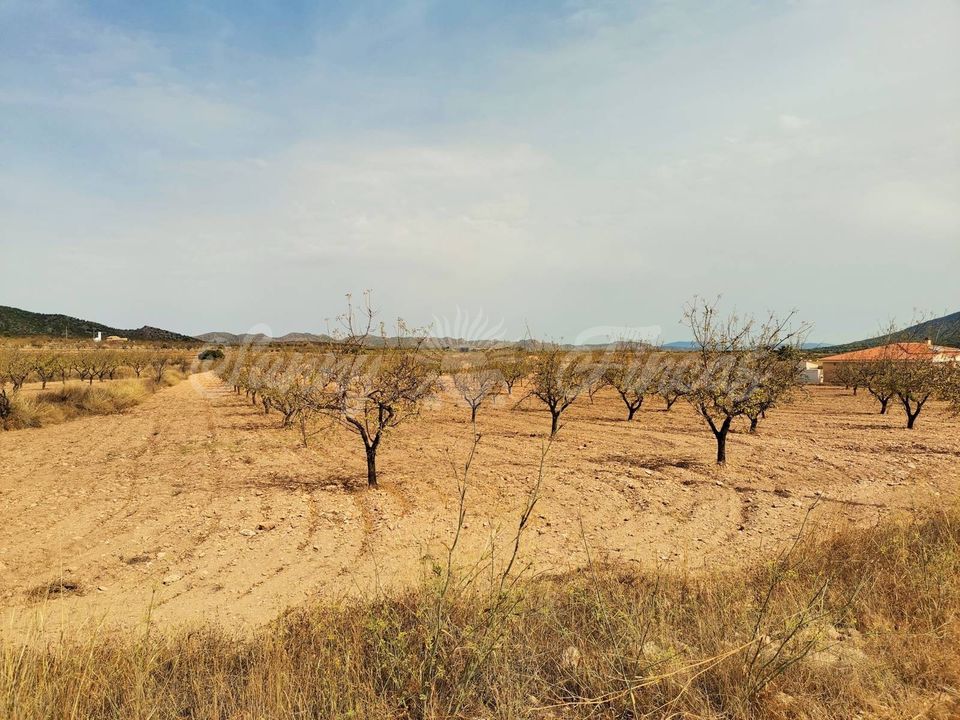 Helårsgrund i Raspay, Murcia - foto 5
